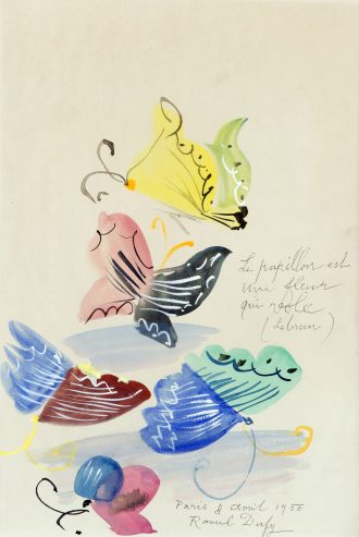 Étude de papillons
