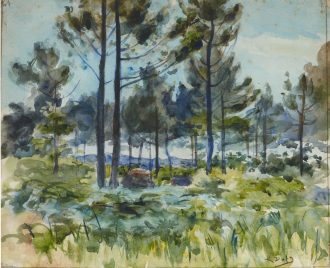 Paysage
