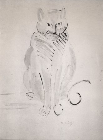 Le chat