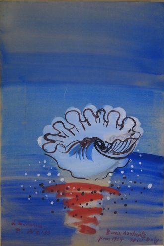 Le petit coquillage