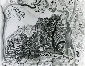 Paysage du Midi