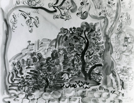 Paysage Du Midi