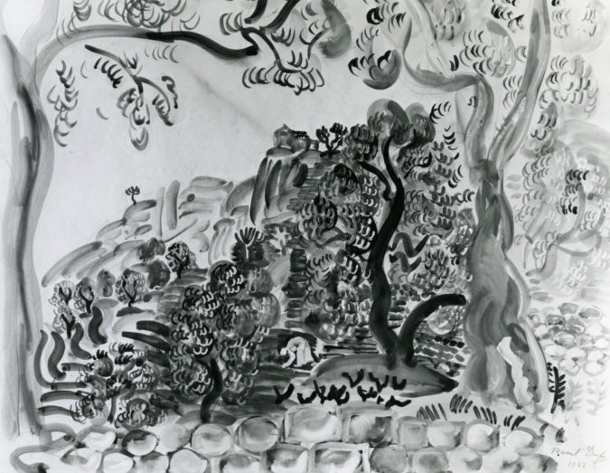 Paysage Du Midi