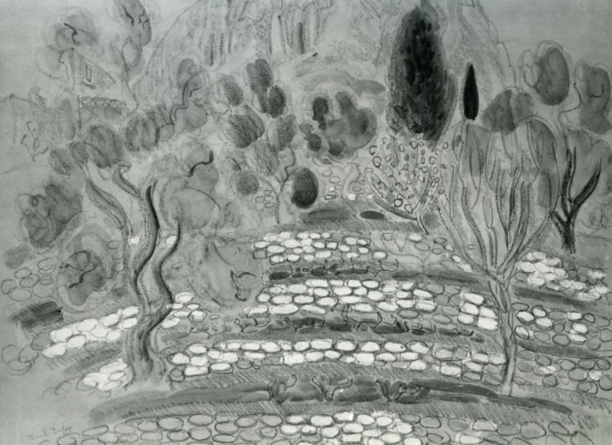 Paysage Du Midi