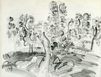 Paysage du Midi