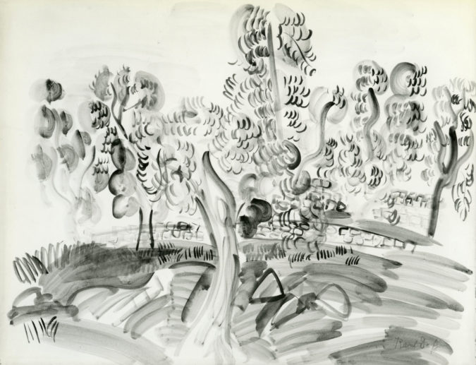 Paysage Du Midi