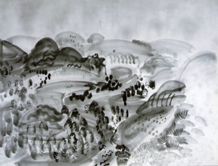 Paysage Aux Collines