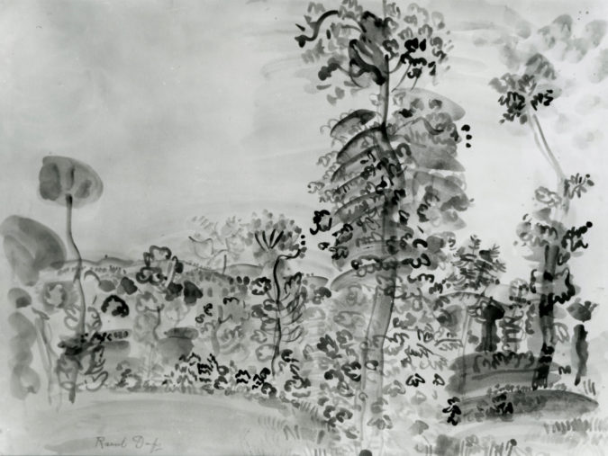 Paysage De Provence