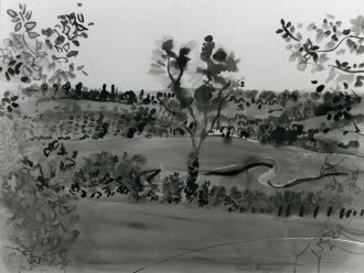 Paysage
