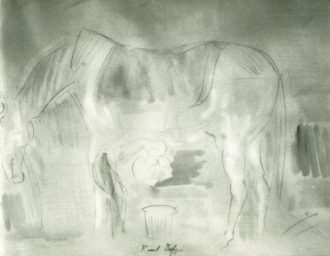 Cheval à l'écurie