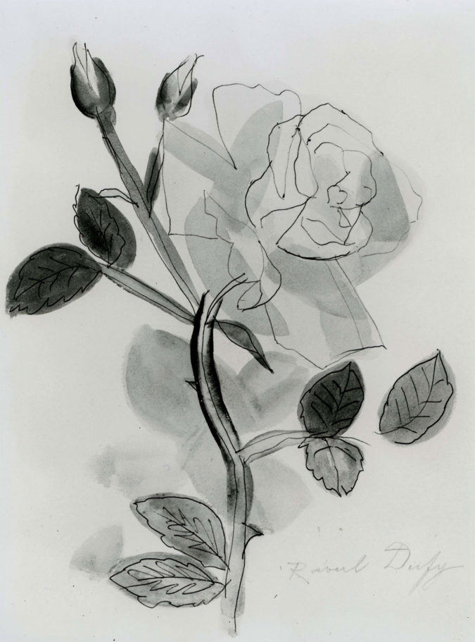 Rose Jaune