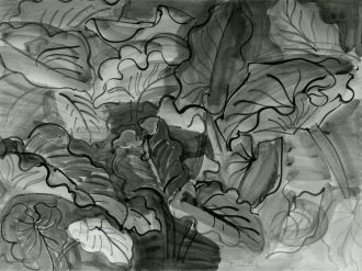 Feuilles d'arums