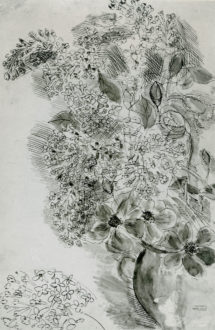 Fleurs