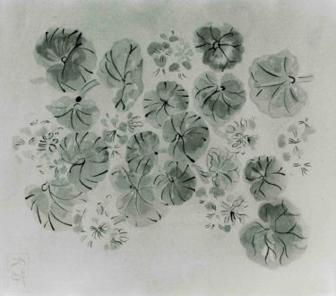 Fleurs Et Feuilles