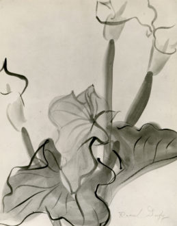 Callas