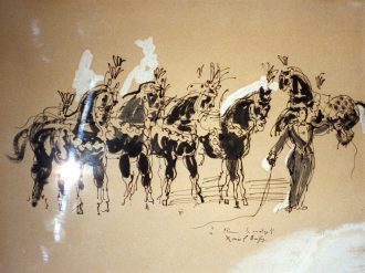 Chevaux de cirque