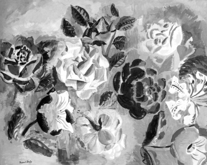 Roses Et Amarillys