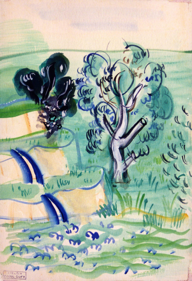 Cascade Et Arbre