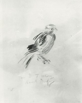 Le petit oiseau