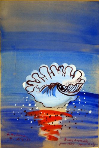 Le petit coquillage