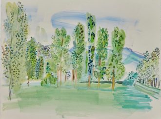 Paysage des Pyrénées ou les peupliers