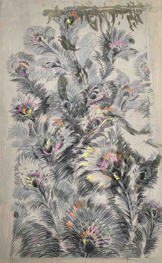 Plumes de paon
